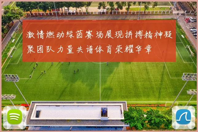 激情燃动绿茵赛场展现拼搏精神凝聚团队力量共谱体育荣耀华章