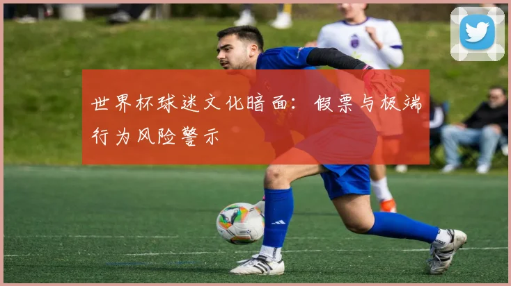 世界杯球迷文化暗面：假票与极端行为风险警示