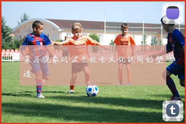 莱万现象对波兰社会文化认同的塑造