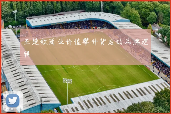 王楚钦商业价值攀升背后的品牌逻辑