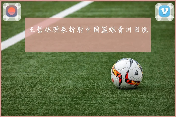 王哲林现象折射中国篮球青训困境