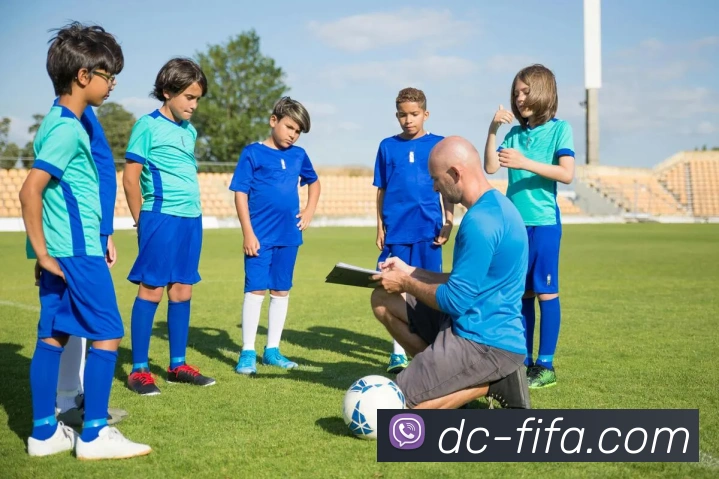 世界杯FIFA平台生态图